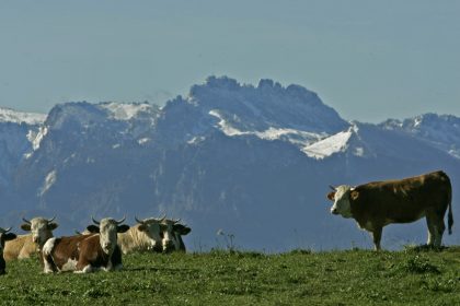 Strahlender Herbsthimmel