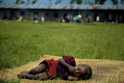 Die Bioenergie ist nicht schuld am Hunger