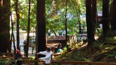 Mystery Spot California