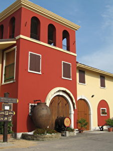 Bardolino Weinmuseum. (Elke Backert)