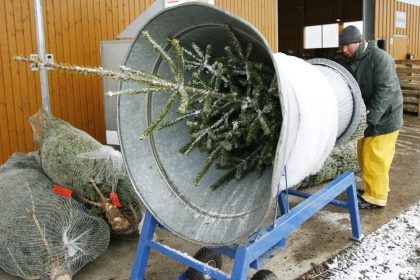 Christbaumverkauf