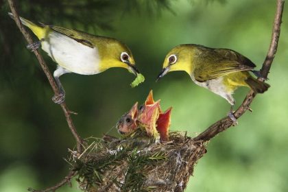 Glückliche Familie