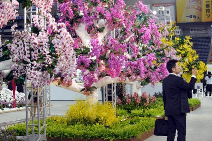 Alles Orchideen