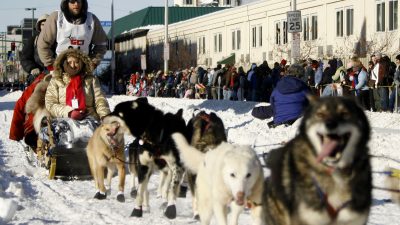 Schlittenhunderennen