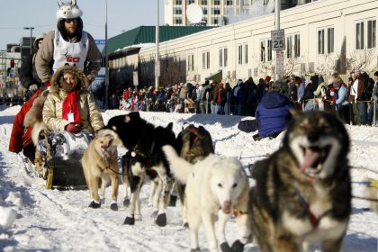 Schlittenhunderennen