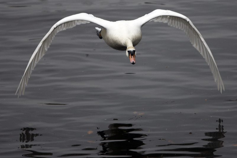 Titelbild