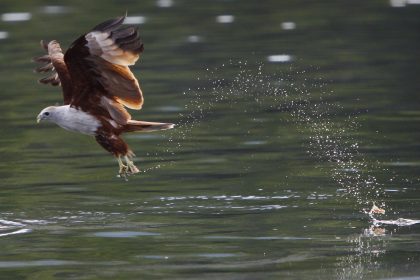 Stückchen Natur