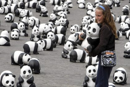 Schutz des Pandabären