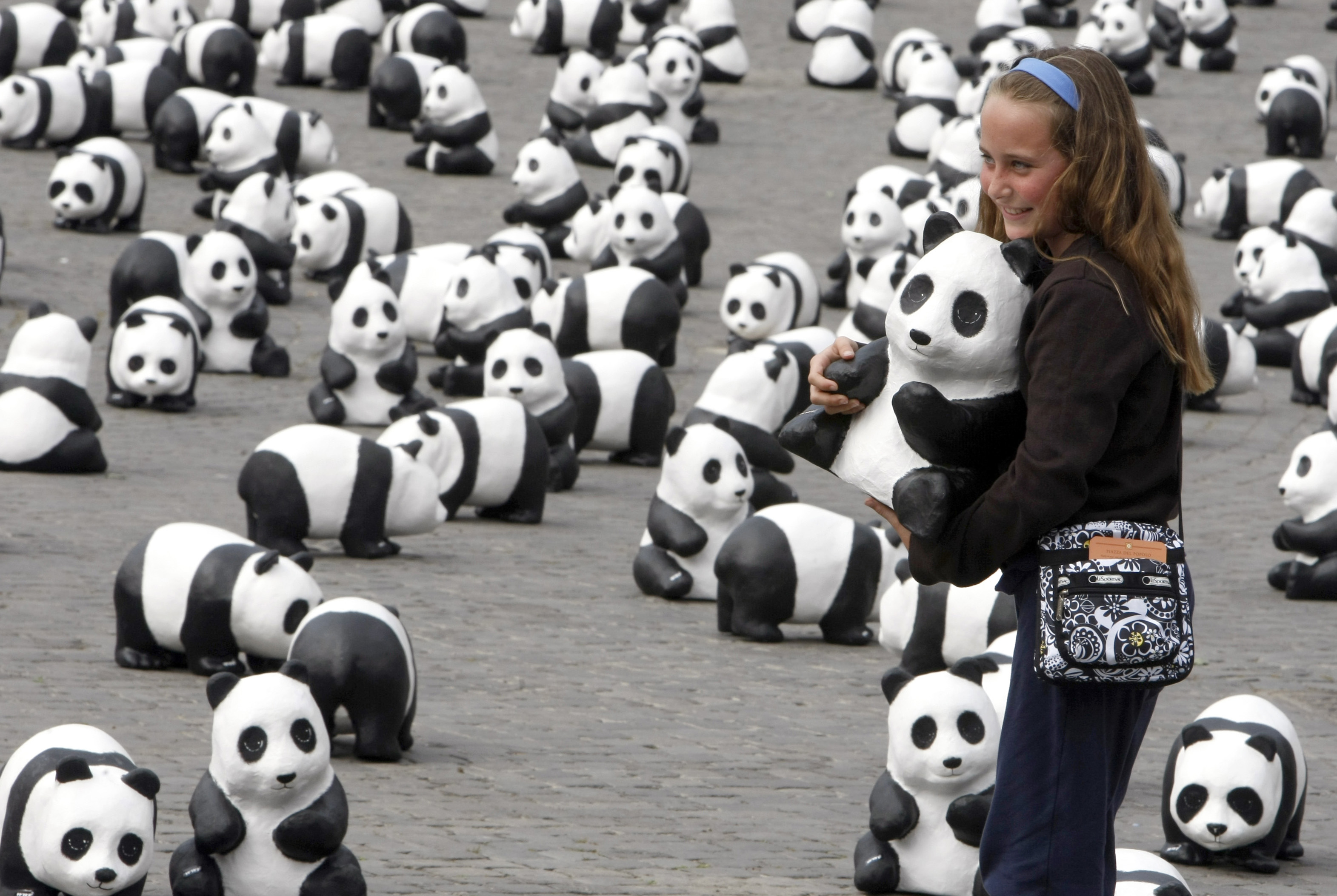 Schutz des Pandabären