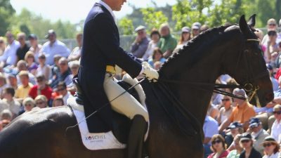 Mecklenburg gegen den Rest der Welt