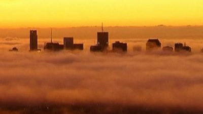 Fog Shuts Down Brisbane