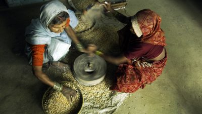 Öko-Landwirt­schaft und gesunde Ernährung