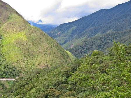 Im Süden des Tales „Rio San Francisco“, wo sich eine gleichnamige Forschungsstation befindet, erstreckt sich Naturwald. Im Norden wird intensiv Land- und Forstwirtschaft betrieben. Optimale Bedingungen also zur Erforschung des Bergregenwaldes in seinem Ursprungszustand und nach Eingreifen des Menschen in das Ökosystem. (M.Weber/TUM)
