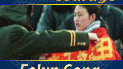 A Decade of Courage – The Falun Gong Story, Promo