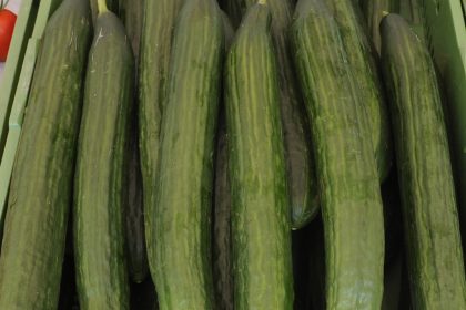 Neuanfang für krumme Gurke und knorrige Karotte