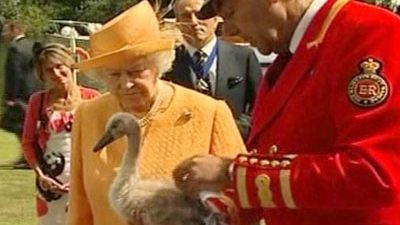 Great Britain: Queen Elizabeth Counts Her Swans