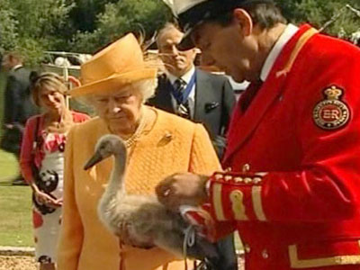 Great Britain: Queen Elizabeth Counts Her Swans