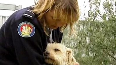 Australian Family’s Dog Found After 9 Years