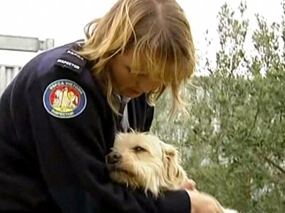 Australian Family’s Dog Found After 9 Years