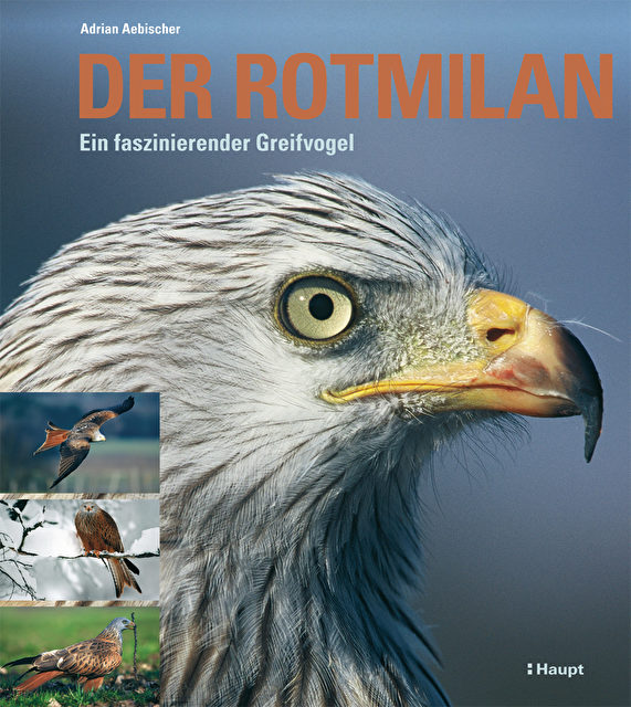 Adrian Aebischer: Der Rotmilan: Ein faszinierender Greifvogel (Gebundene Ausgabe). Haupt Verlag. EUR 29,90. EUA 30,80. SFR 49,90. 232 Seiten. ISBN 978-3-258-07417-7. 
<!-- /11053247/etd21_300x250_1 -->
<div id=