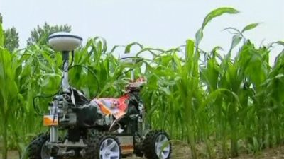 Netherlands: Farming Robots Have a Field Day