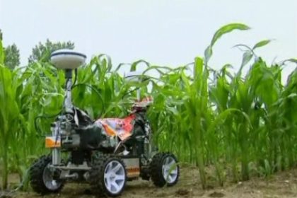 Netherlands: Farming Robots Have a Field Day
