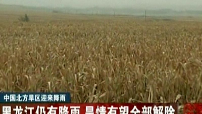 Northern China Plagued by Drought