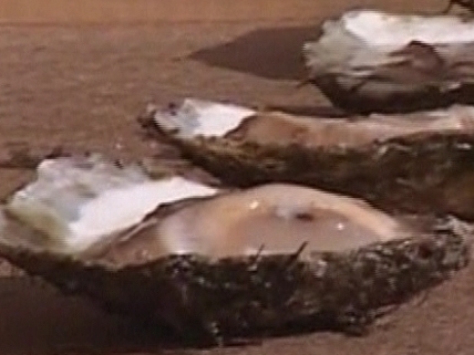 Denmark: Over a Ton of Oysters Down the Hatch