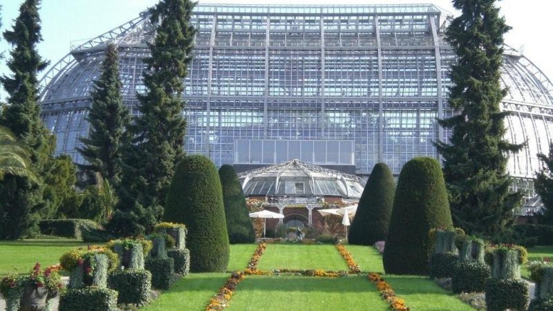 Großes Tropenhaus in Berlins Botanischem Garten restauriert