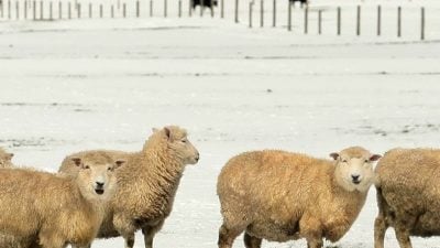 Schnee unter den Füßen