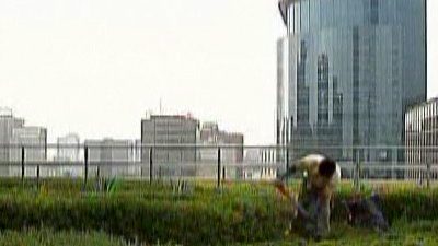 Mexico: Fighting against Global Warming with Roof Gardens