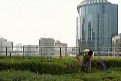 Mexico: Fighting against Global Warming with Roof Gardens