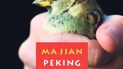 Peking Koma – direkt ins Herz des Lesers