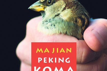 Peking Koma – direkt ins Herz des Lesers