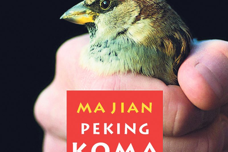 Titelbild