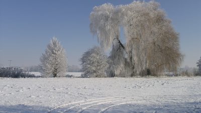 „Der Mensch ist mehr als ein biochemisches Gewitter“