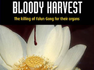 Bloody Harvest: Buch über Organhandel durch das chinesische Regime