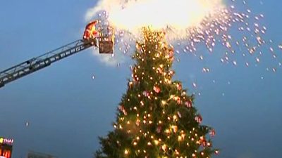 Kopenhagen: Weihnachtsbaum als Beispiel für Energiesparmaßnahmen