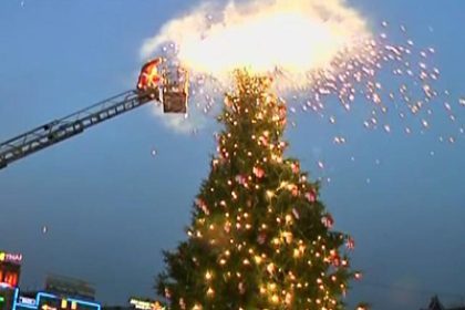 Kopenhagen: Weihnachtsbaum als Beispiel für Energiesparmaßnahmen