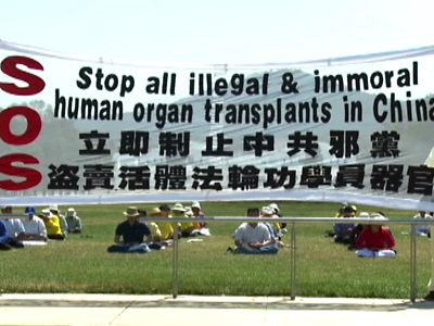 Australien: Schwarzhandel mit Organen in China nimmt zu
