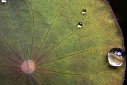 Wasser: Kühlen oder verbrennen?