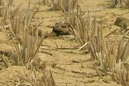 China: Worst Drought in Living Memory