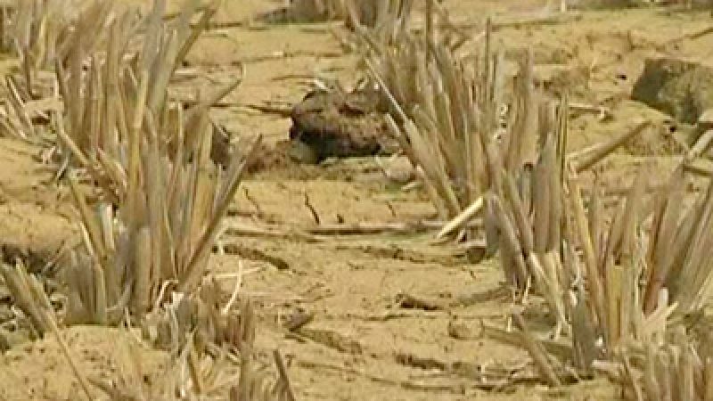China: Worst Drought in Living Memory