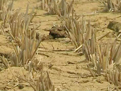 China: Worst Drought in Living Memory
