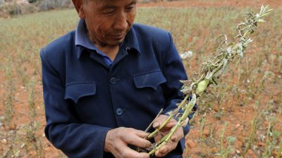 Opfer bezeichnen Chinas Dürre als von Menschen verursacht