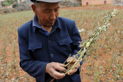 Opfer bezeichnen Chinas Dürre als von Menschen verursacht