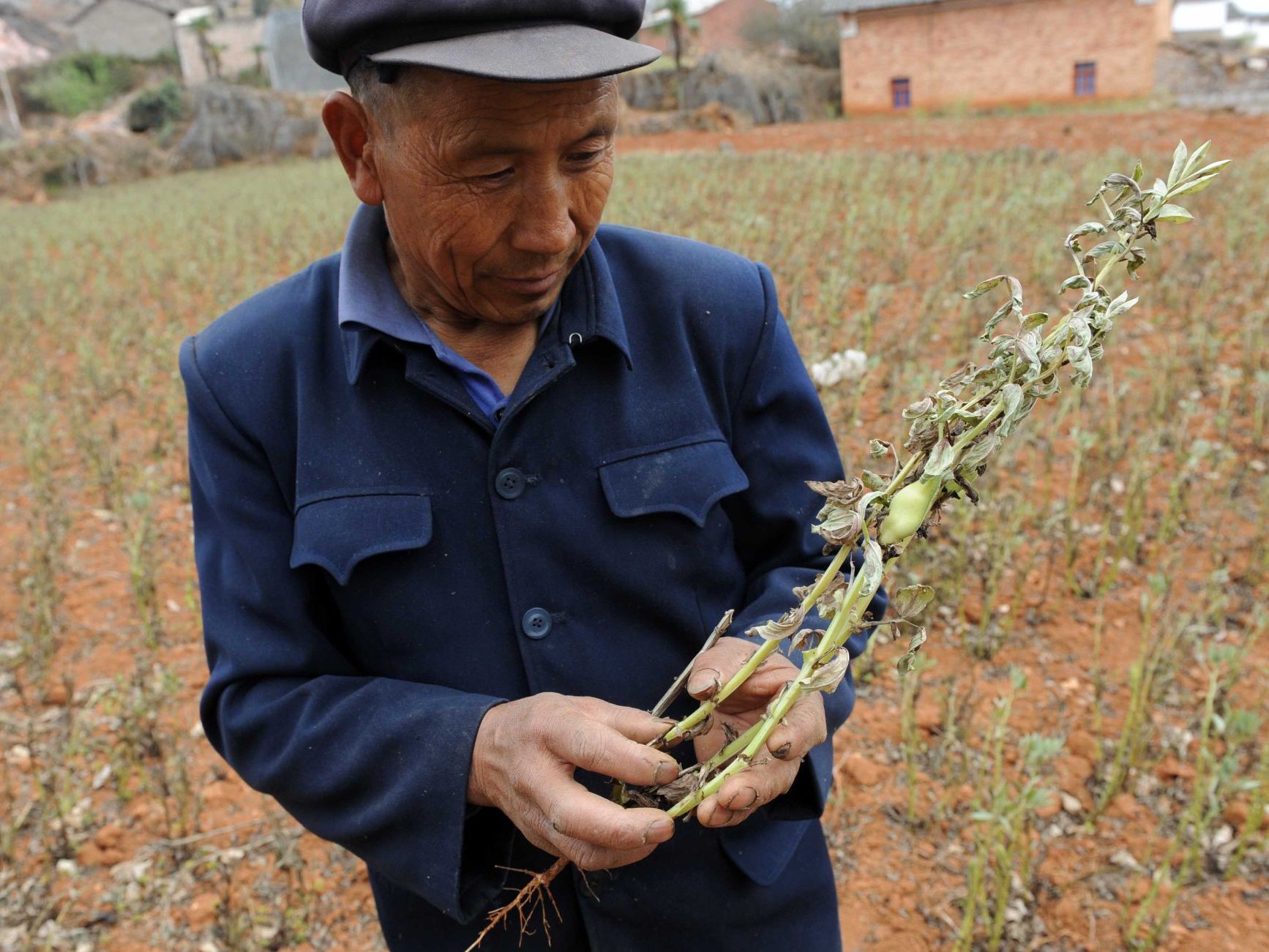 Opfer bezeichnen Chinas Dürre als von Menschen verursacht