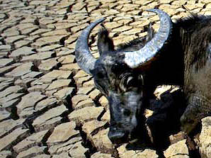 Große Dürre in Südwestchina verschlimmert sich