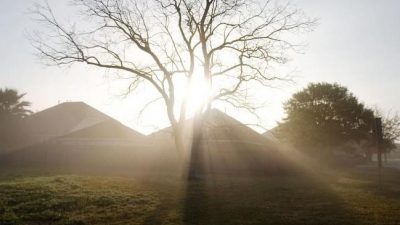 Mangel an Morgenlicht lässt Teenager nachts nicht einschlafen