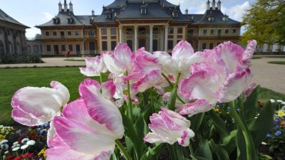 Schloss Pillnitz